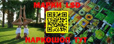 дмт Кинель