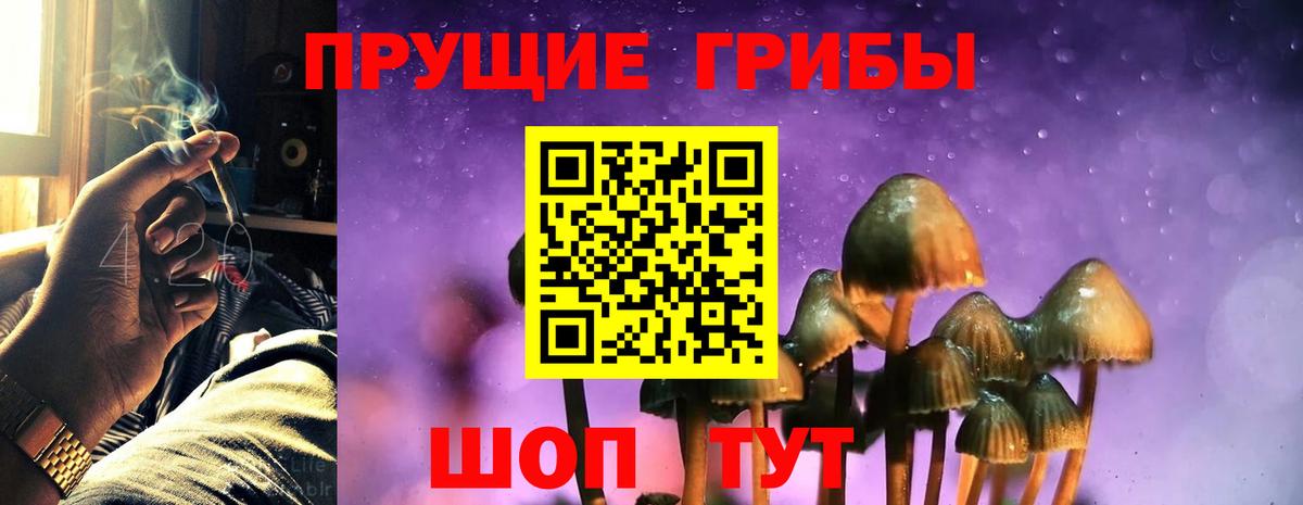 Псилоцибиновые грибы MAGIC MUSHROOMS Кириши