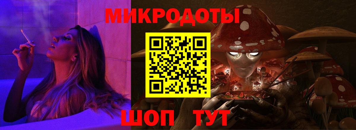 Галлюциногенные грибы Psilocybe  где купить наркоту  Кириши  Вход с VPN 