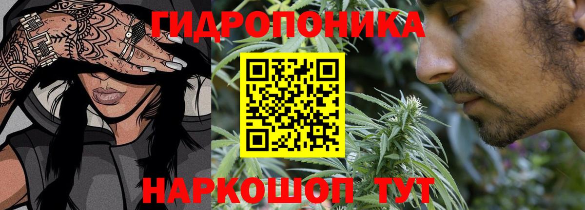 Каннабис Ganja Кириши